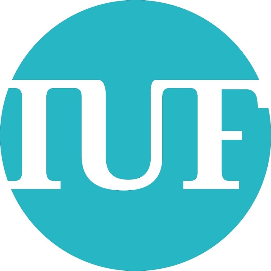Institut universitaire de France